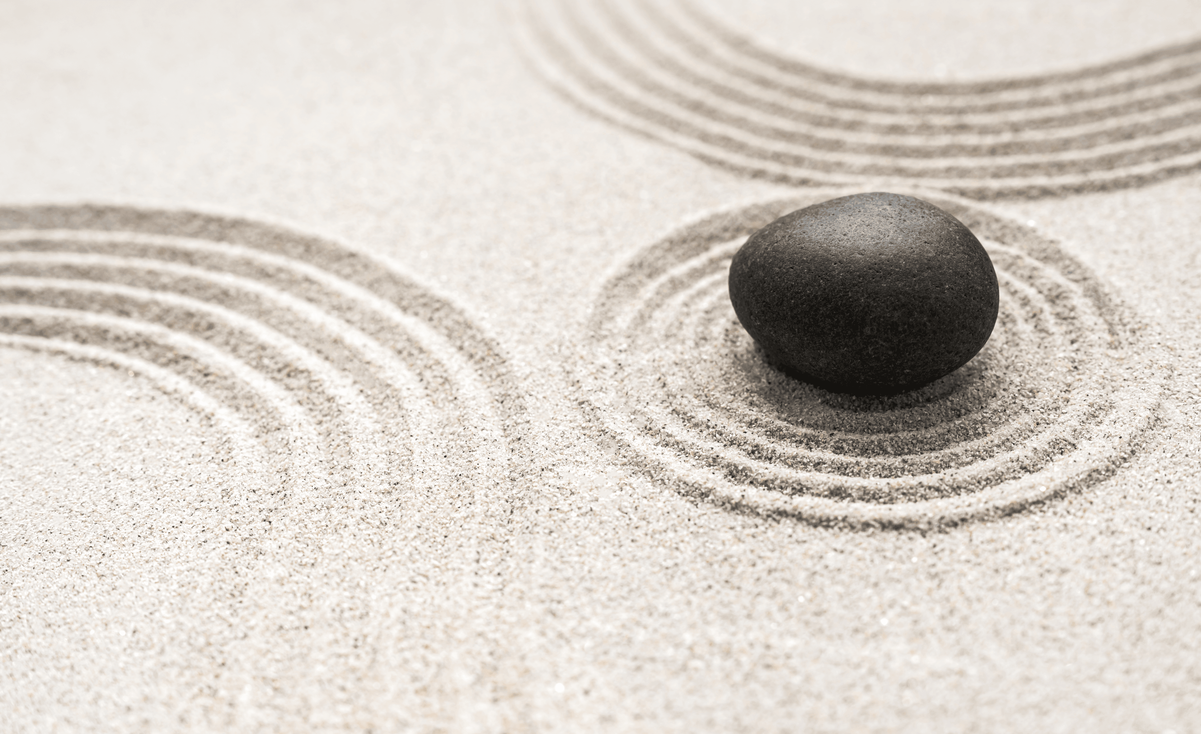 Vos séances avec moi